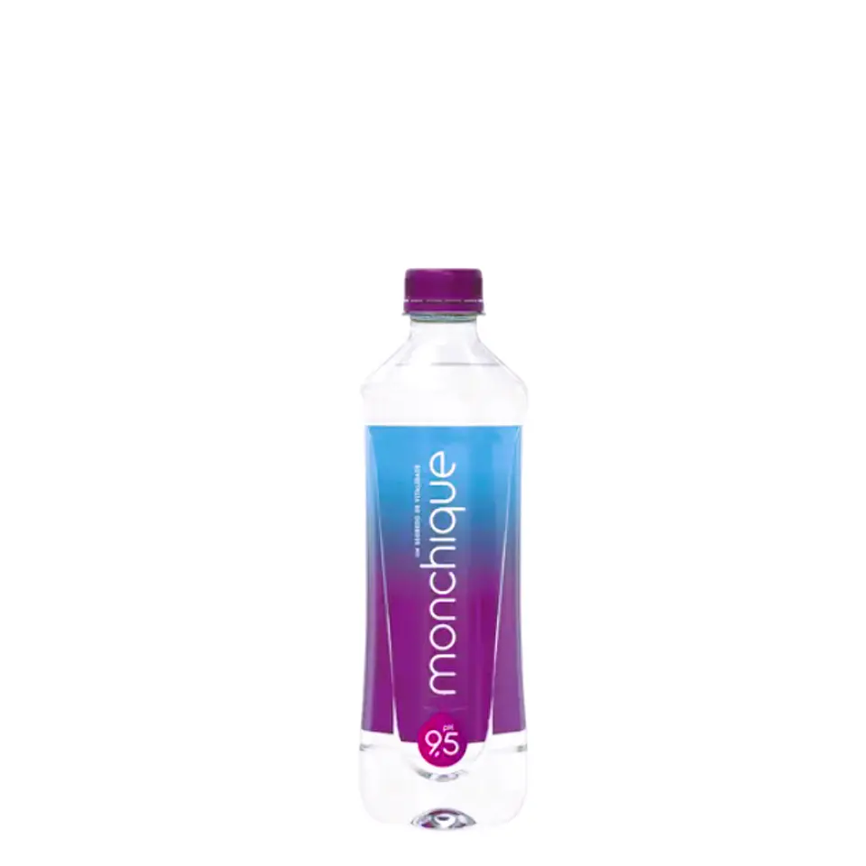 Água Mineral Natural Monchique 0.50L 1