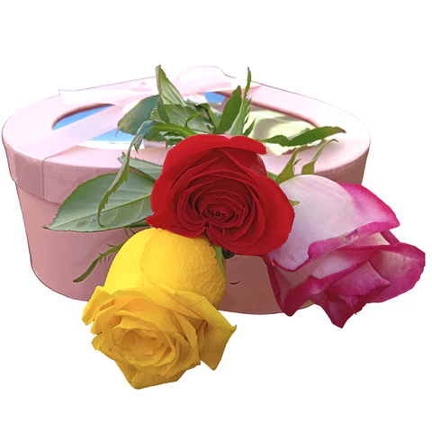 Caixa Presente com Rosas e Chocolates