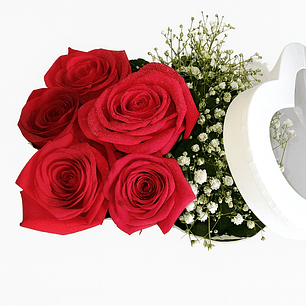 Caixa de Rosas Vermelhas