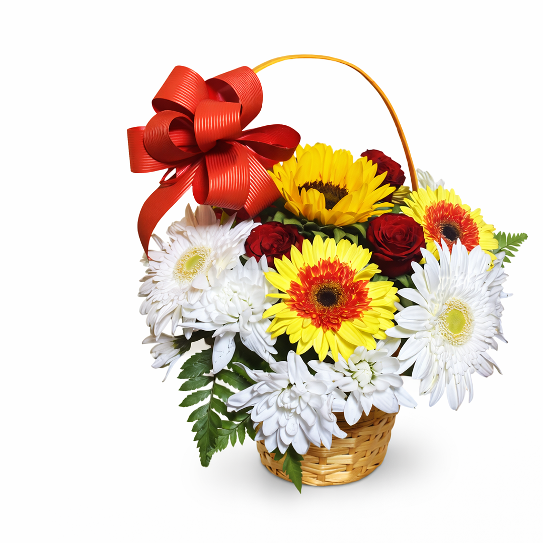 Cesto Gérberas & Rosas 3