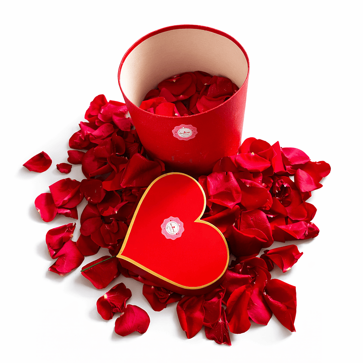 Pétalas de Rosa Frescas 4