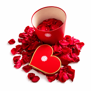 Pétalas de Rosa Frescas