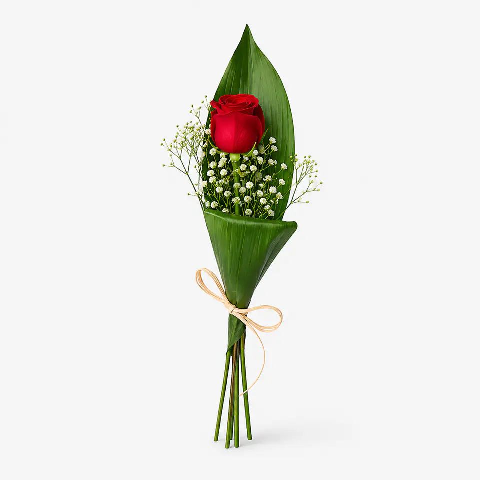 Ramo de 1 Rosa Vermelha 4