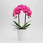 Orquídea Cor-de-Rosa - Thumbnail 2