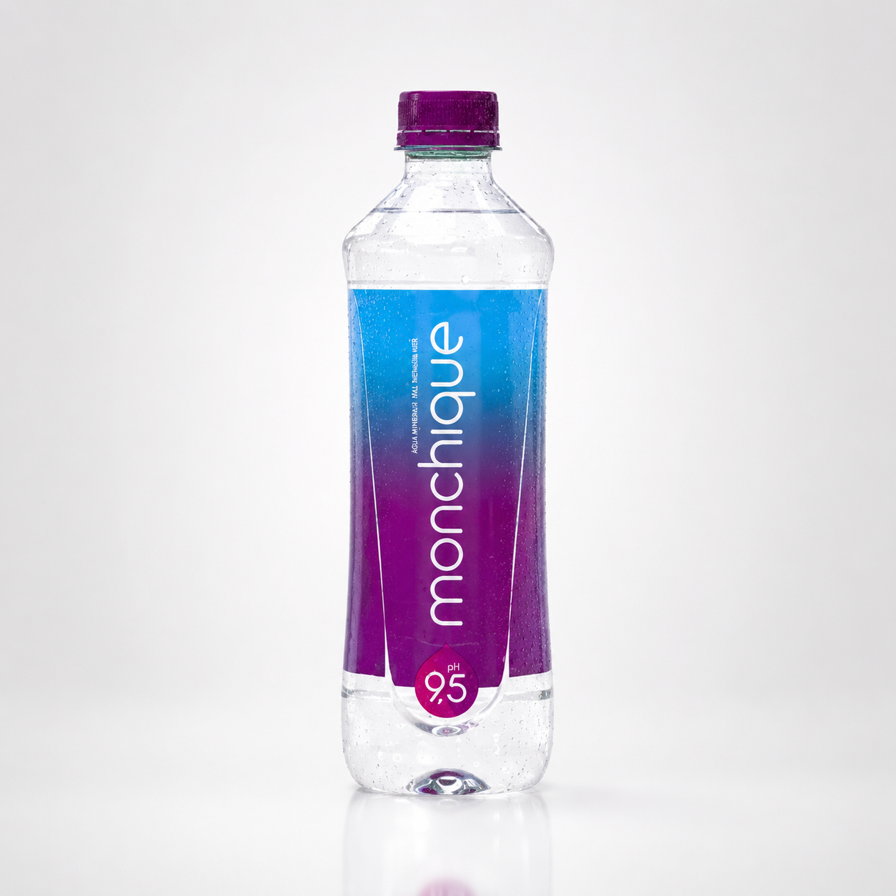 Água Mineral Natural Monchique 0.50L 1
