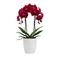 Orquídea Vermelha/Bordeaux - Thumbnail 6
