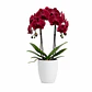 Orquídea Vermelha/Bordeaux - Thumbnail 5