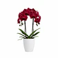 Orquídea Vermelha/Bordeaux - Thumbnail 4