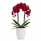 Orquídea Vermelha/Bordeaux - Thumbnail 1
