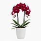 Orquídea Vermelha/Bordeaux - Thumbnail 2