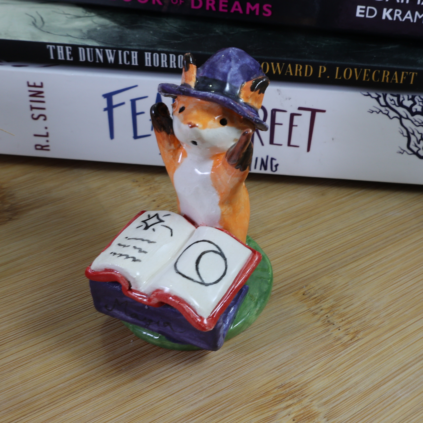 Zorritos hechiceros 6