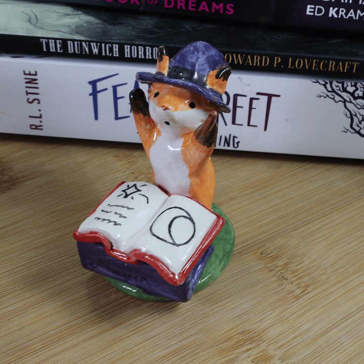 Zorritos hechiceros 6