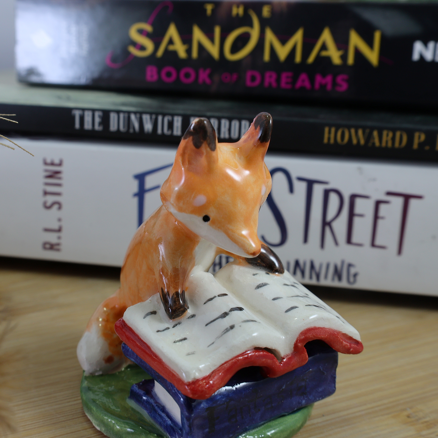 Zorritos Lectores concentrados 1