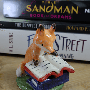 Zorritos Lectores concentrados