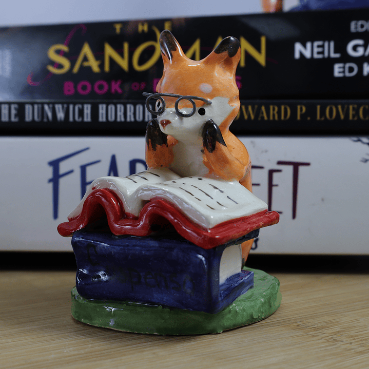 Zorritos lectores sorpresa 1