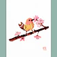Prints A4 Ilustraciones en Papel Luster - Miniatura 19
