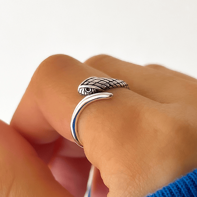 Anillo serpiente de la protección 