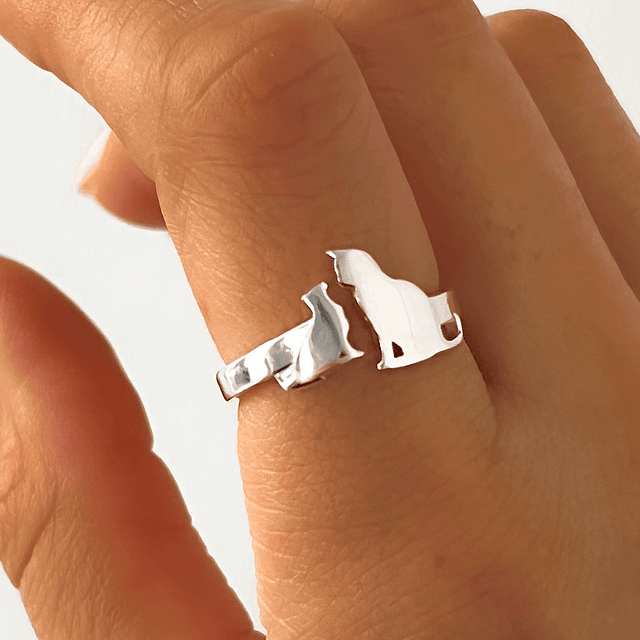 Anillo Gatitos de la Protección 