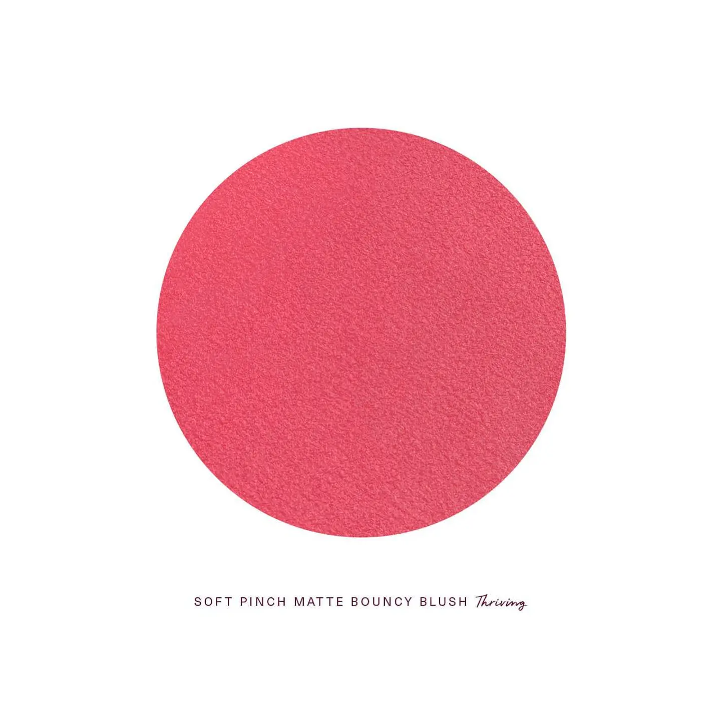 Soft Pinch Matte Bouncy Blush- Thriving 2