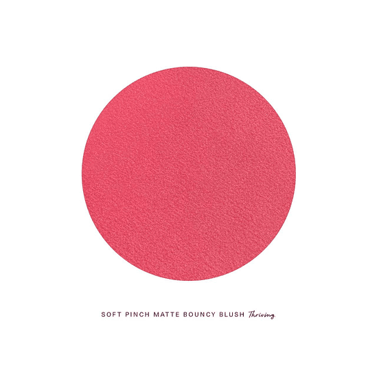 Soft Pinch Matte Bouncy Blush- Thriving 2