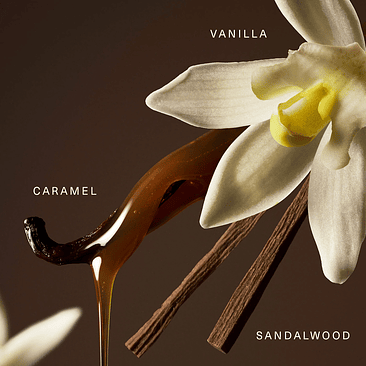  Mini Set de Eau de Parfum Rare con Vainilla y Caramelo  4