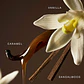 Rare Eau de Parfum with Vanilla and Caramel - Miniatura 4