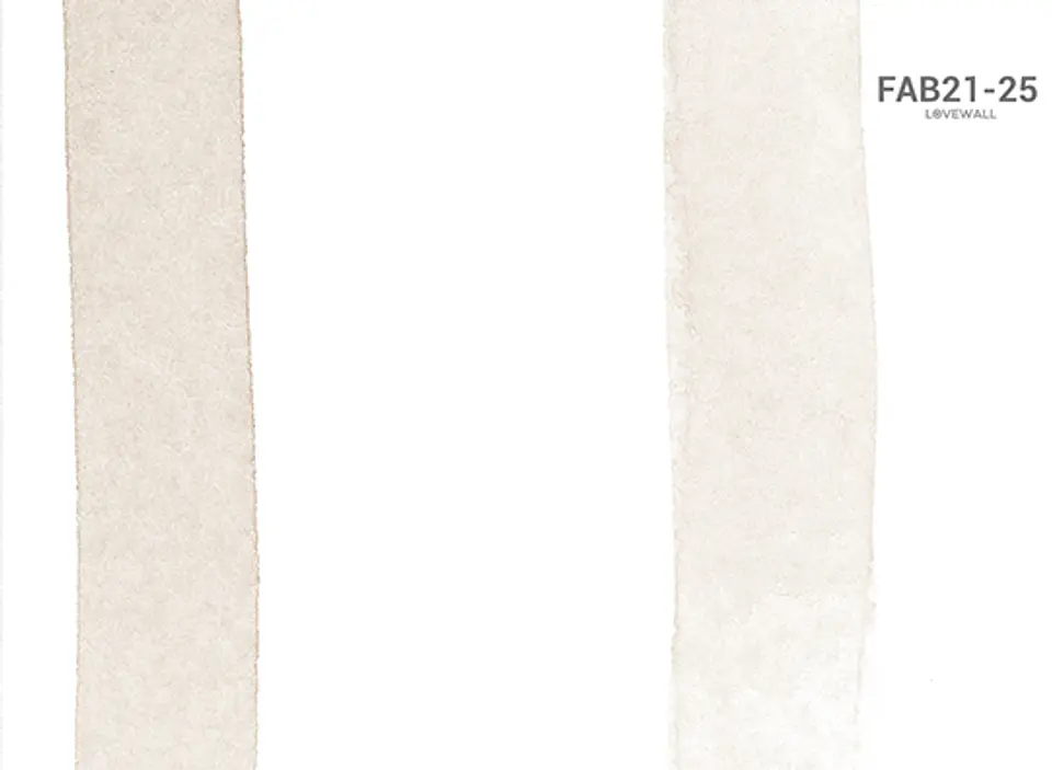 FAB21-25 2