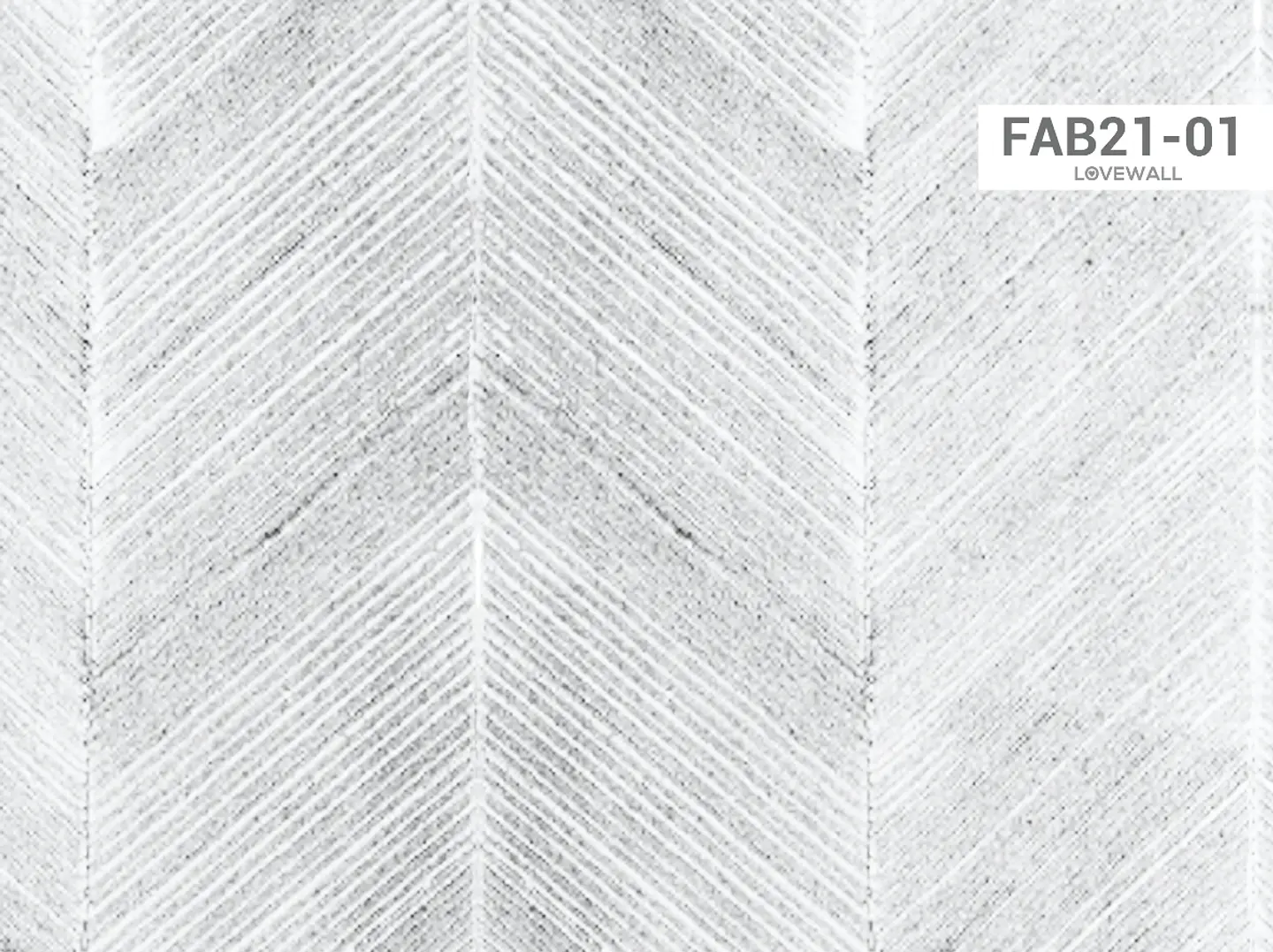 FAB21-01 2