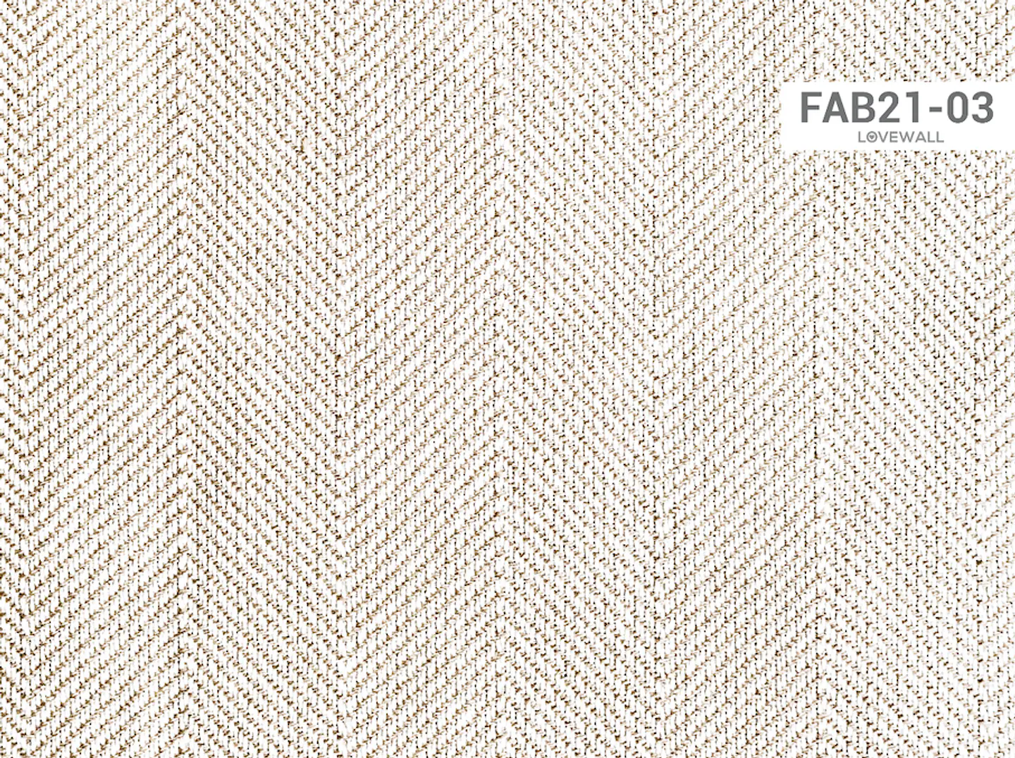 FAB21-03 2