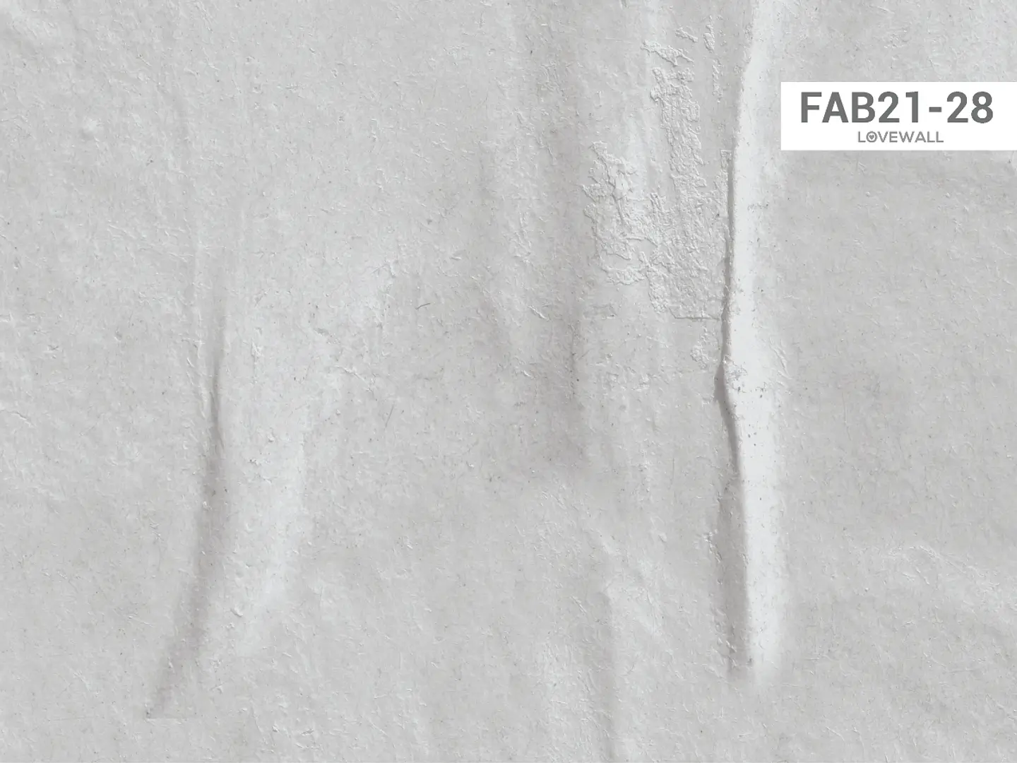 FAB21-28 2