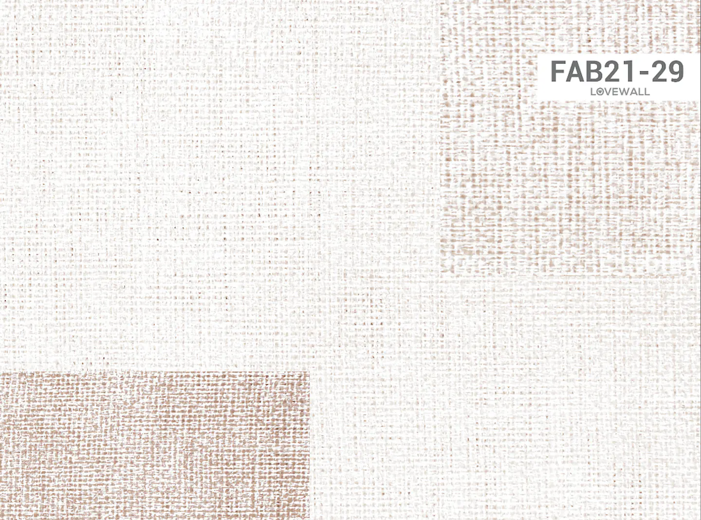 FAB21-29 2