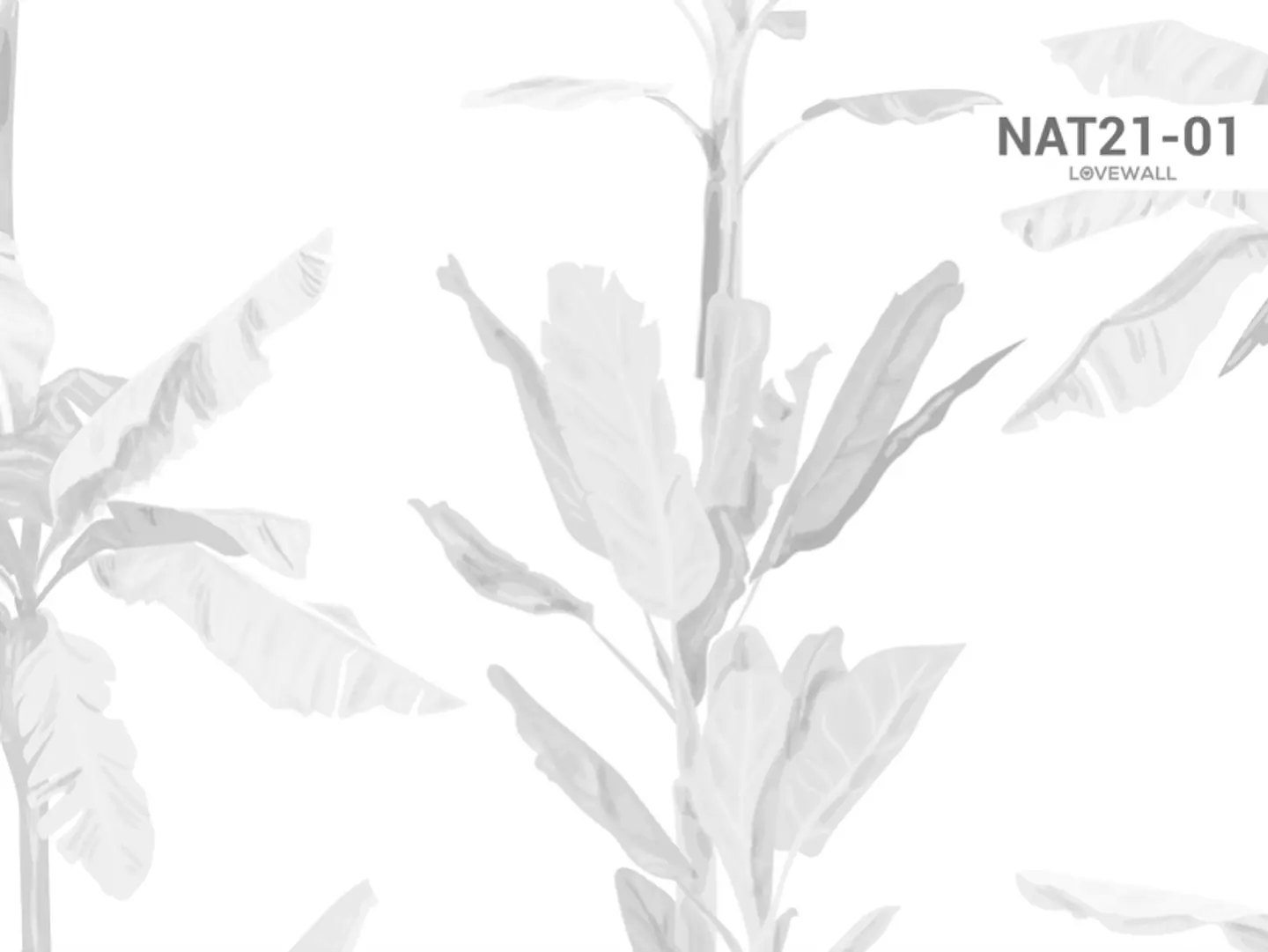 NAT21-01 2