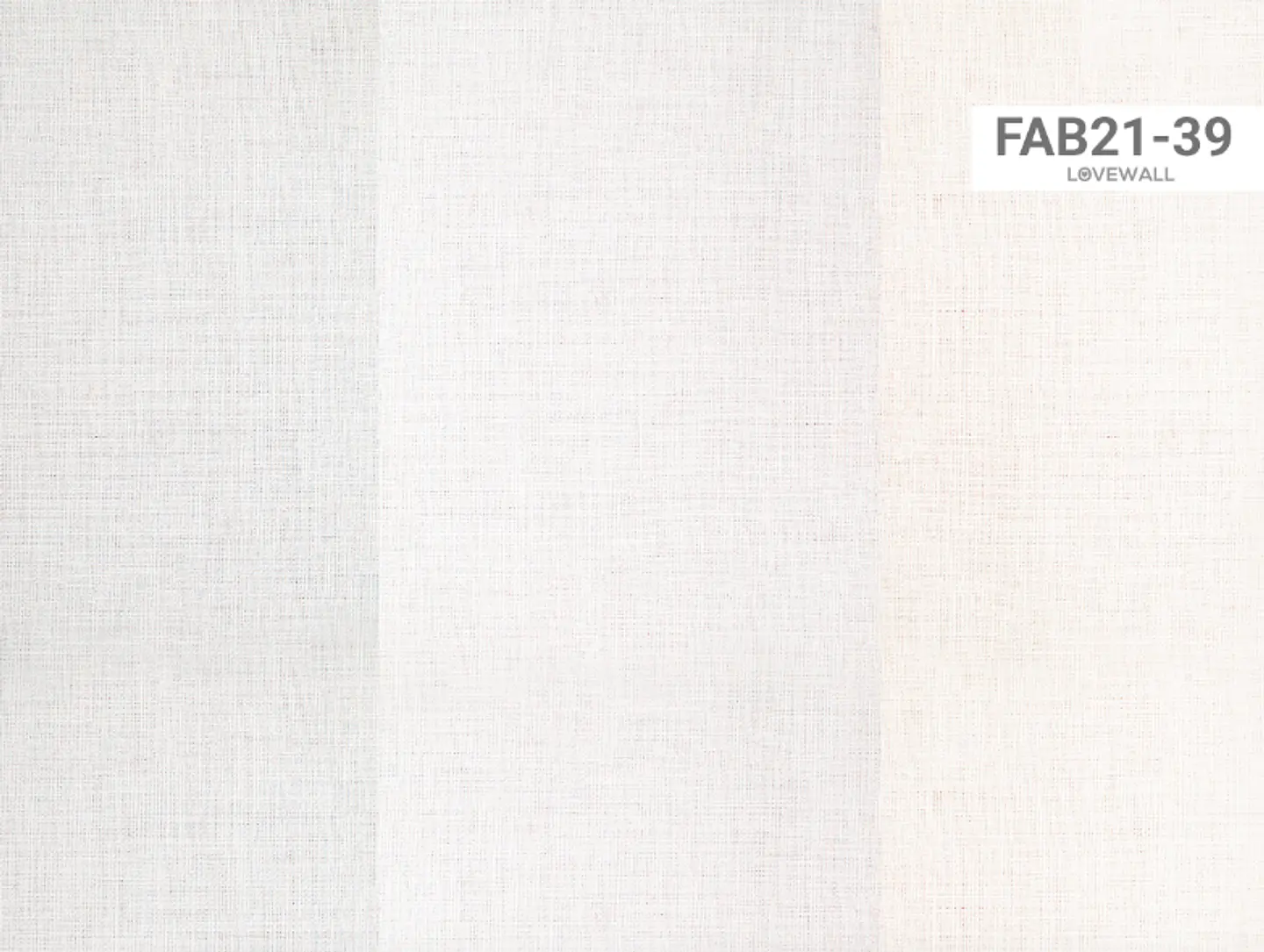 FAB21-39 2