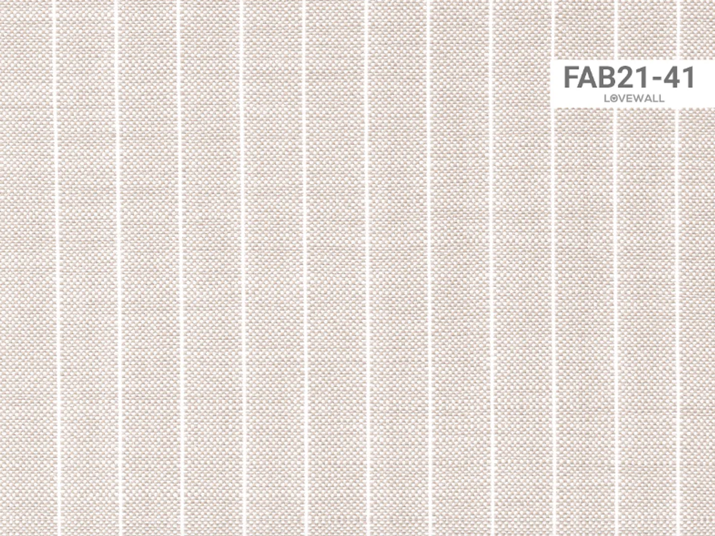FAB21-41 2