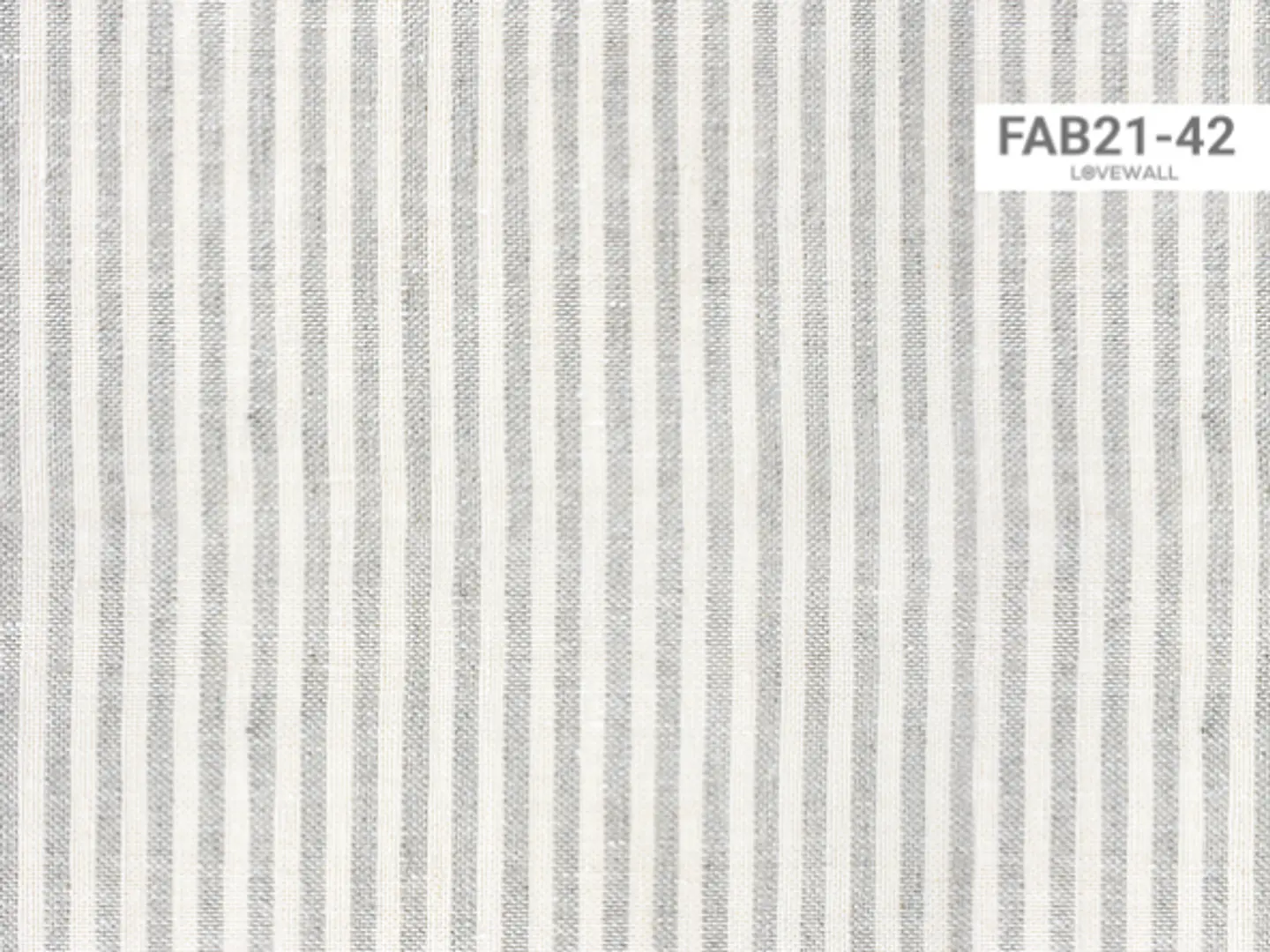 FAB21-42 2