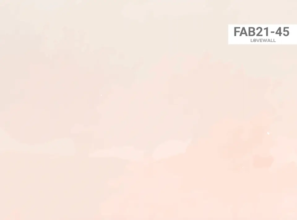FAB21-45 2
