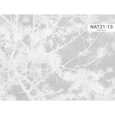 NAT21-13