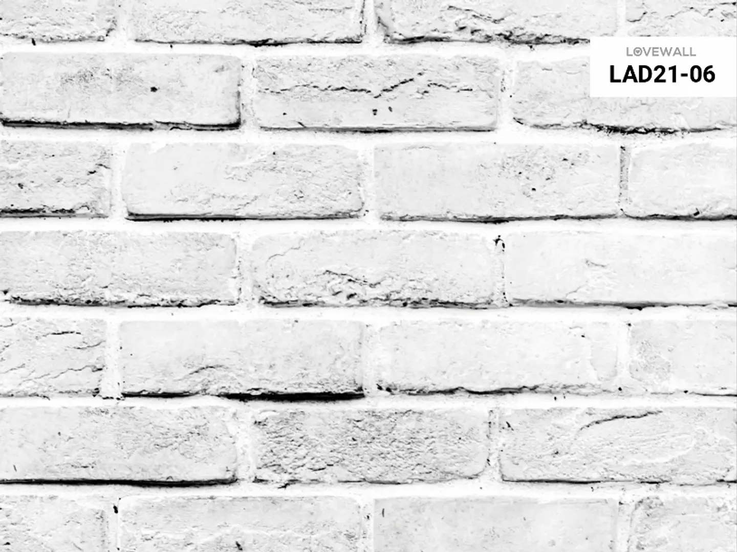 LAD21-06 2