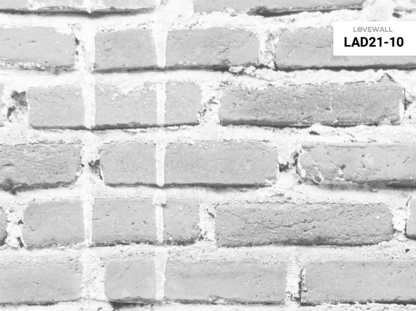 LAD21-10 2