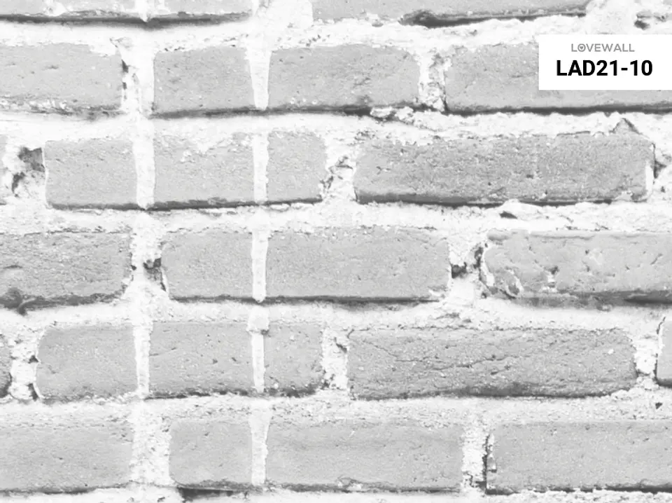 LAD21-10 2