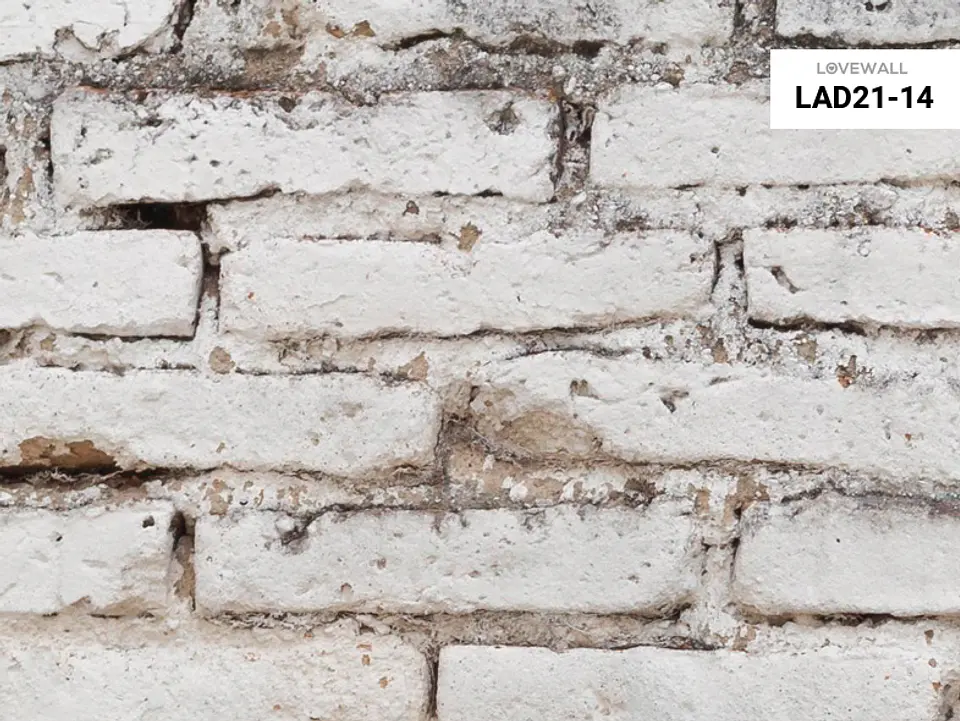 LAD21-14 2
