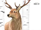 KID21-01 - thumbnail 2