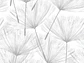 NAT23-03 - thumbnail 2