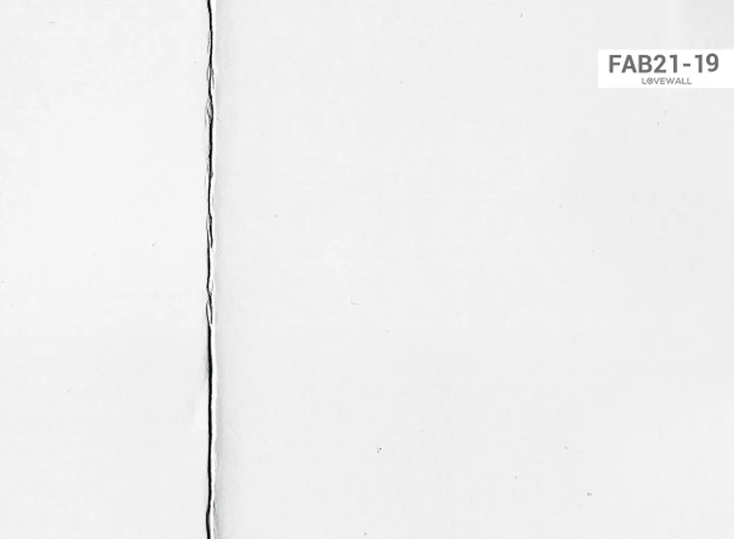 FAB21-19 2