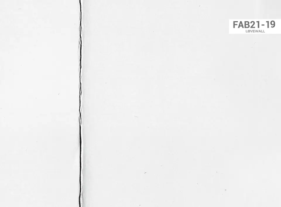 FAB21-19 2