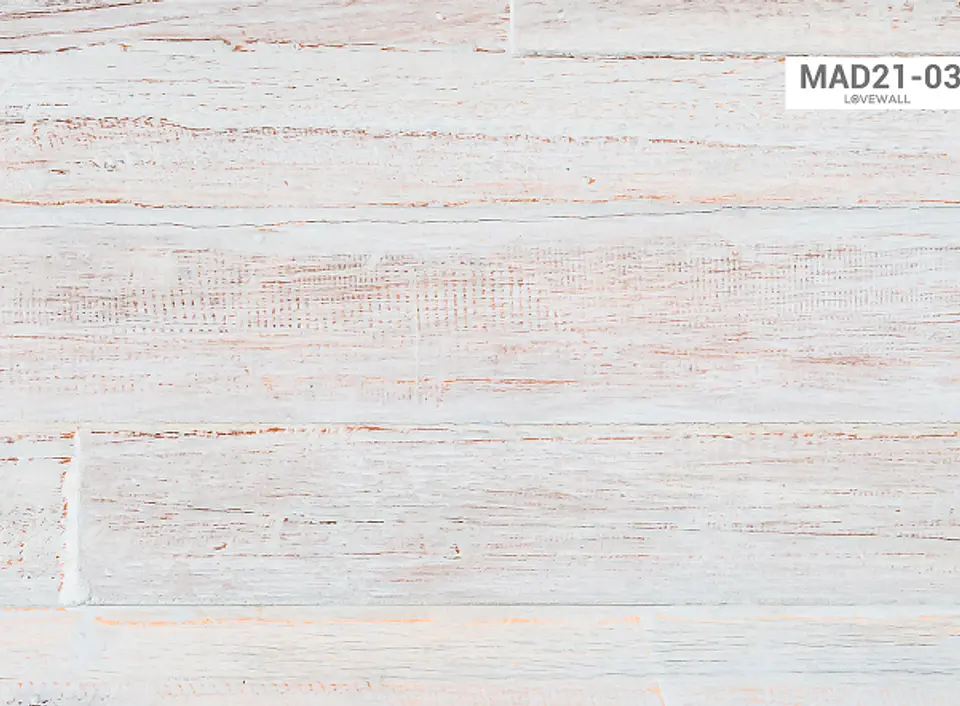 MAD21-03 2