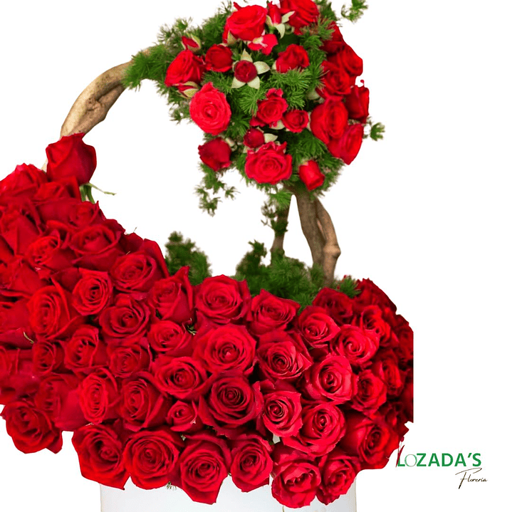 Tambor de Mini Rosas Rojas con diseño especial 2