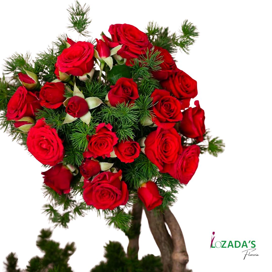 Tambor de Mini Rosas Rojas con diseño especial 3