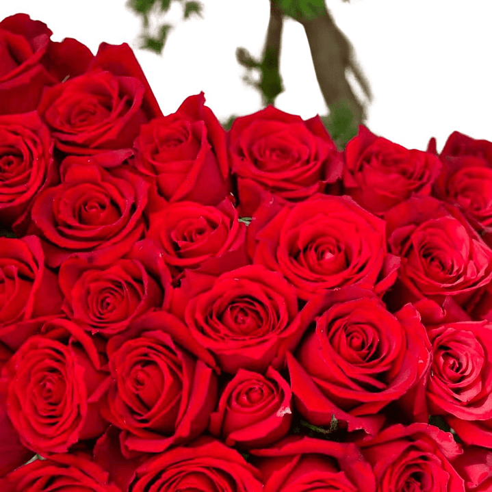 Tambor de Mini Rosas Rojas con diseño especial 4