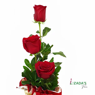 Magia - Arreglo de 3 Rosas Rojas